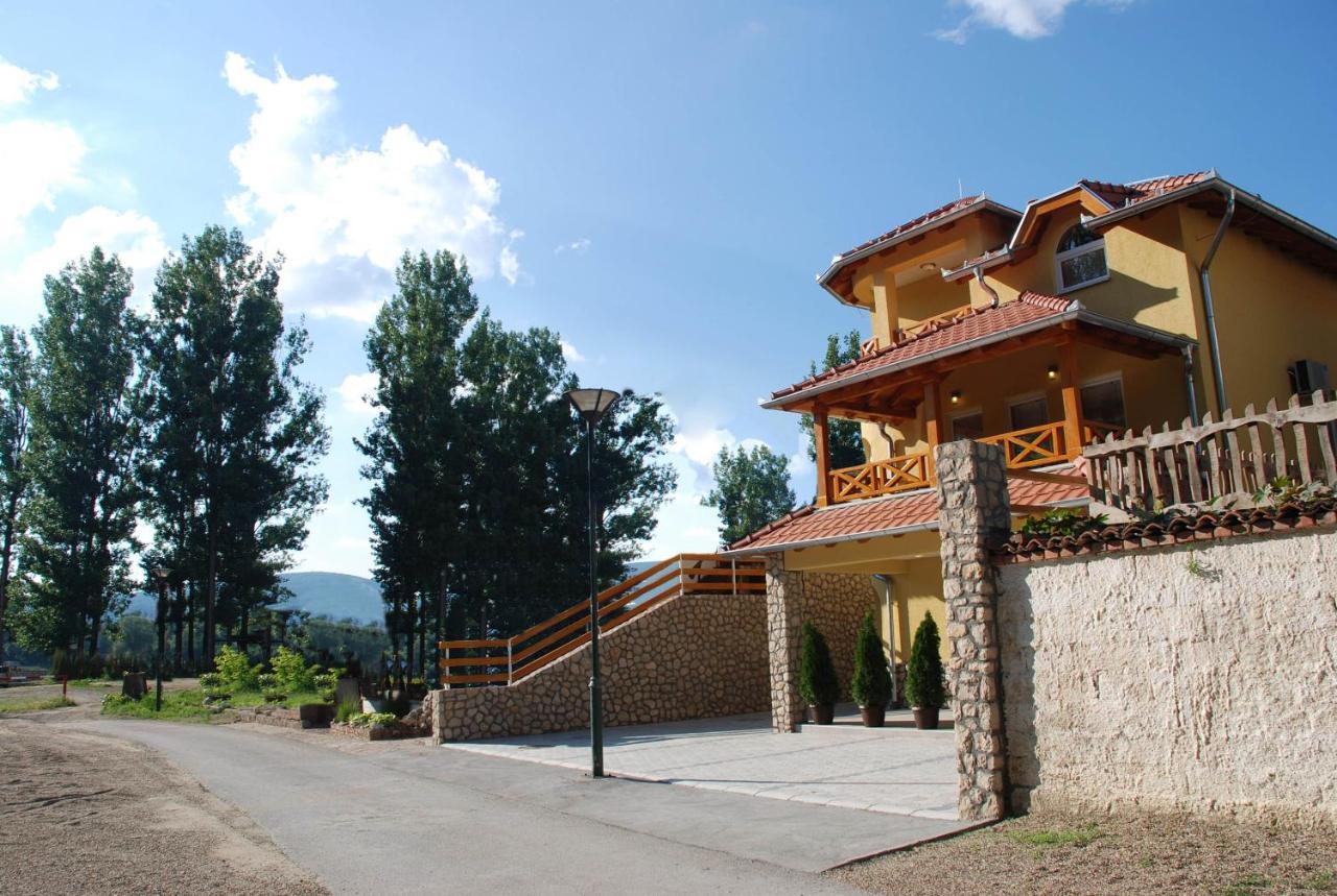 Vila Simic Srebrno Jezero Ostrovo 外观 照片